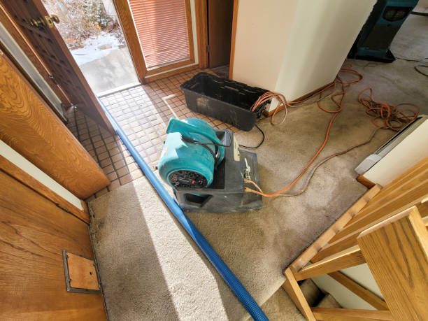 Best Professional water damage repair  in Jeffersonville, IN