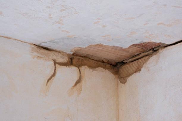 Best 24/7 water damage repair  in Jeffersonville, IN