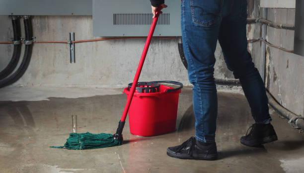 Best Water damage restoration process  in Jeffersonville, IN