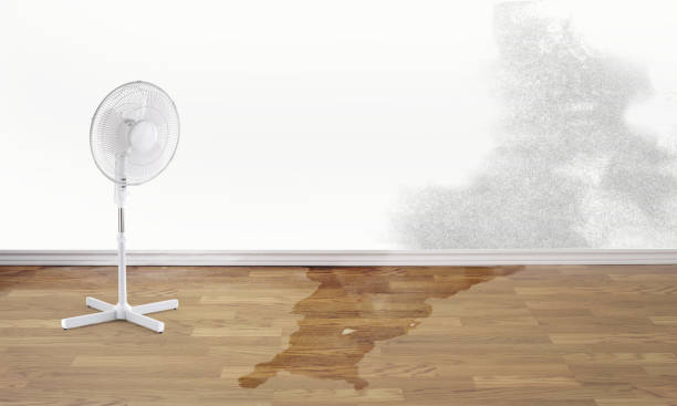 Best Water damage restoration near me  in Jeffersonville, IN