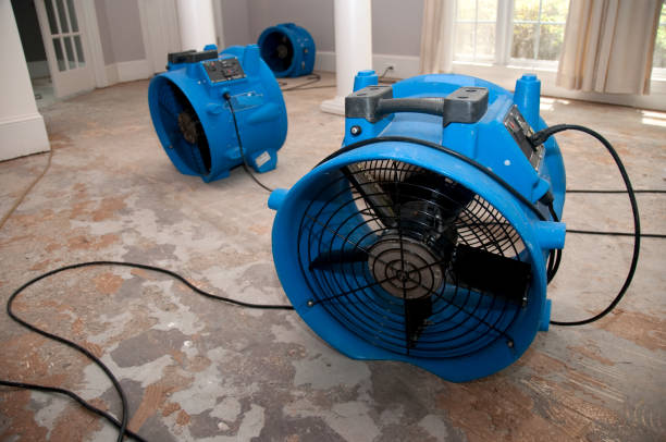 Best Water damage restoration insurance claims  in Jeffersonville, IN