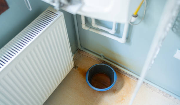 Best Local water damage restoration  in Jeffersonville, IN