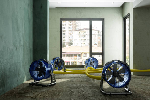 Water damage restoration process in IN